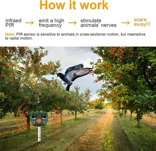 Pest Control Device with Ultrasonic Sound and Motion Sensor