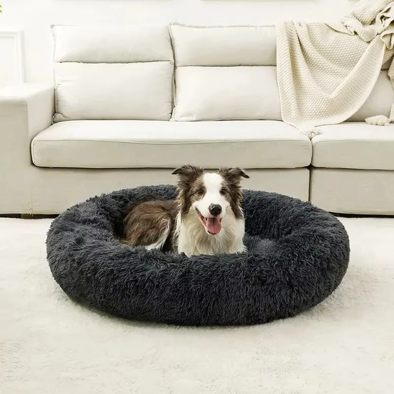 Pet Bed with Soft Cushioning and Cozy Design