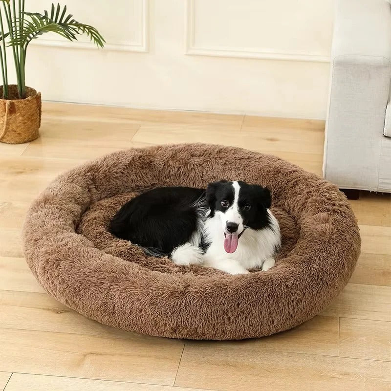 Pet Bed with Soft Cushioning and Cozy Design