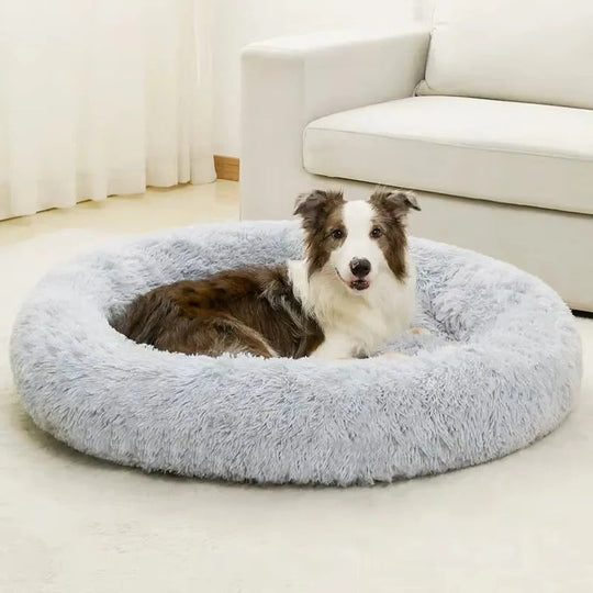 Pet Bed with Soft Cushioning and Cozy Design