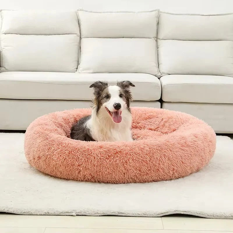 Pet Bed with Soft Cushioning and Cozy Design