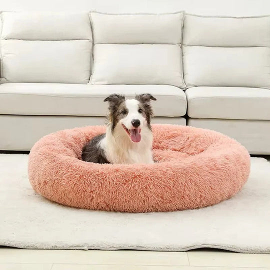 Pet Bed with Soft Cushioning and Cozy Design
