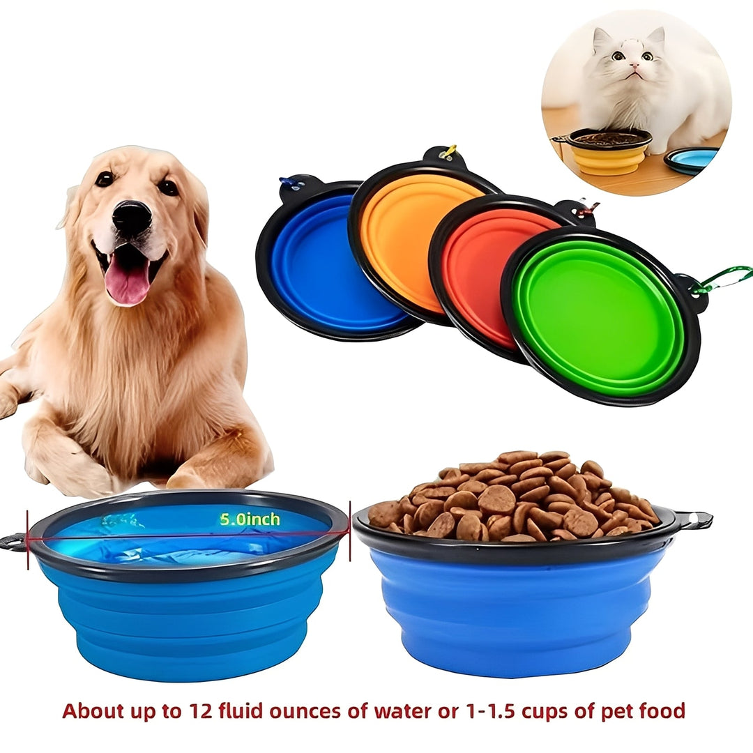 Pet Bowl with Portable Design and Collapsible Silicone