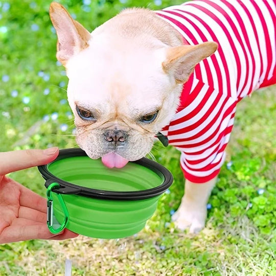 Pet Bowl with Portable Design and Collapsible Silicone