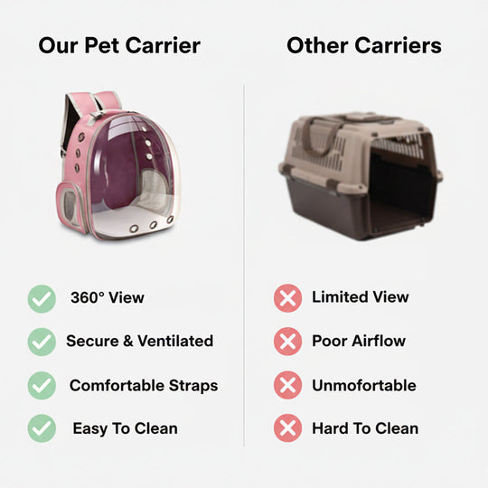 Pet Carrier with 360° View and Secure Design