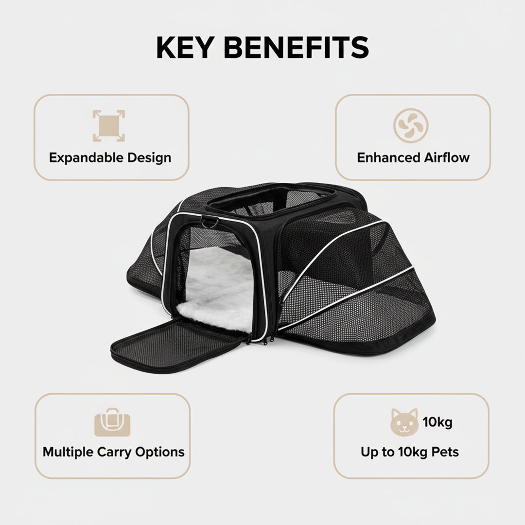 Pet Carrier with Expandable Design and Mesh Ventilation