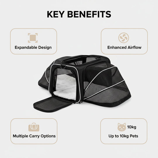 Pet Carrier with Expandable Design and Mesh Ventilation