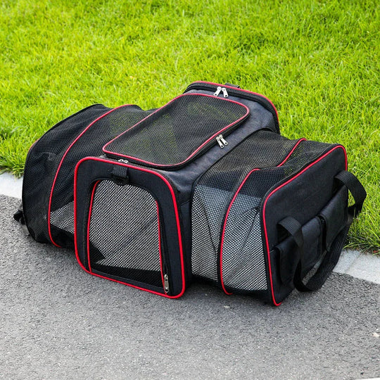Pet Carrier with Foldable Design and Secure Travel