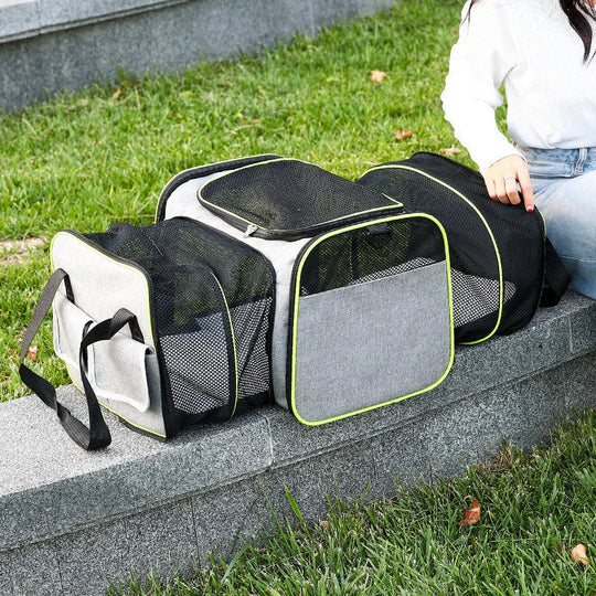 Pet Carrier with Foldable Design and Secure Travel