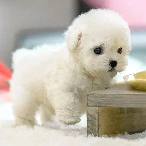 Plush Puppy Toy with Realistic Design and Soft Fur