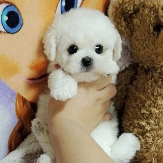 Plush Puppy Toy with Soft Fur and Weighted Filling