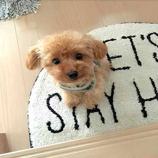 Plush Toy with Soft Fur and Cuddly Design