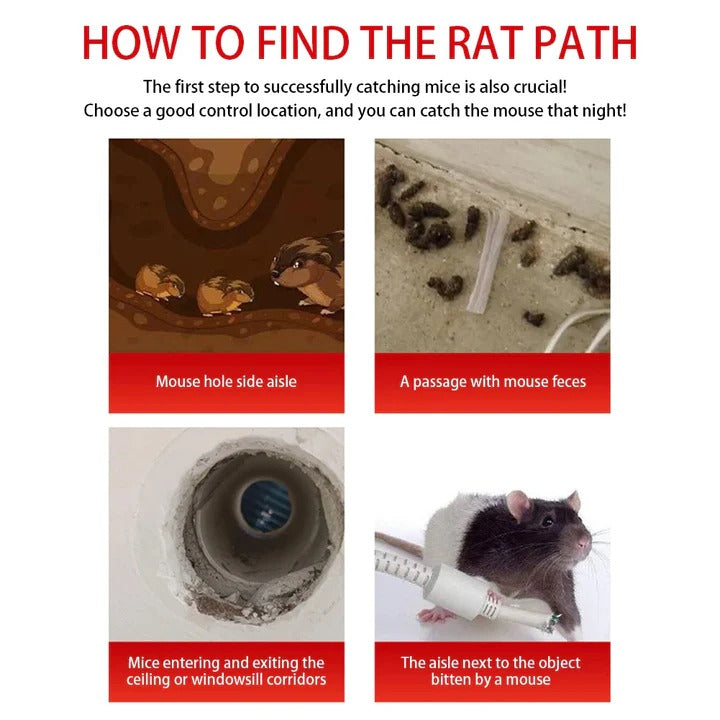 Rodent Cage with Reusable Design and One-Way Entry