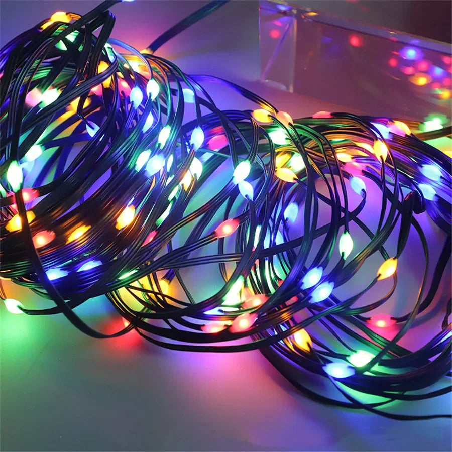 Rope Lights with Multicolor LEDs and Outdoor Durability