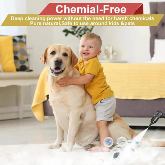 Steam Cleaner with Nozzles and Heat-Resistant Gloves