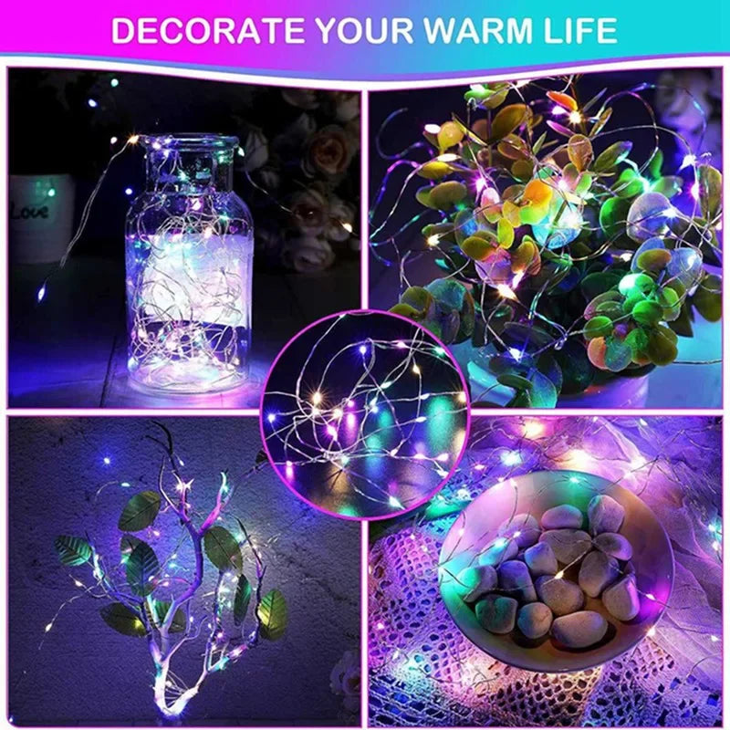 String Lights with Battery Power and Indoor Use