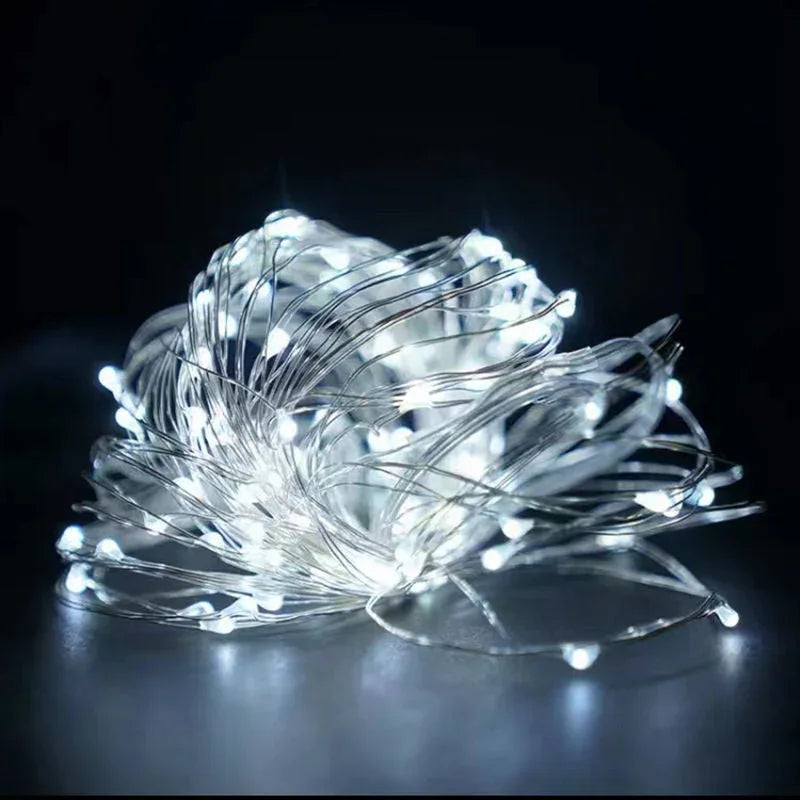 String Lights with Battery Power and Warm White Glow
