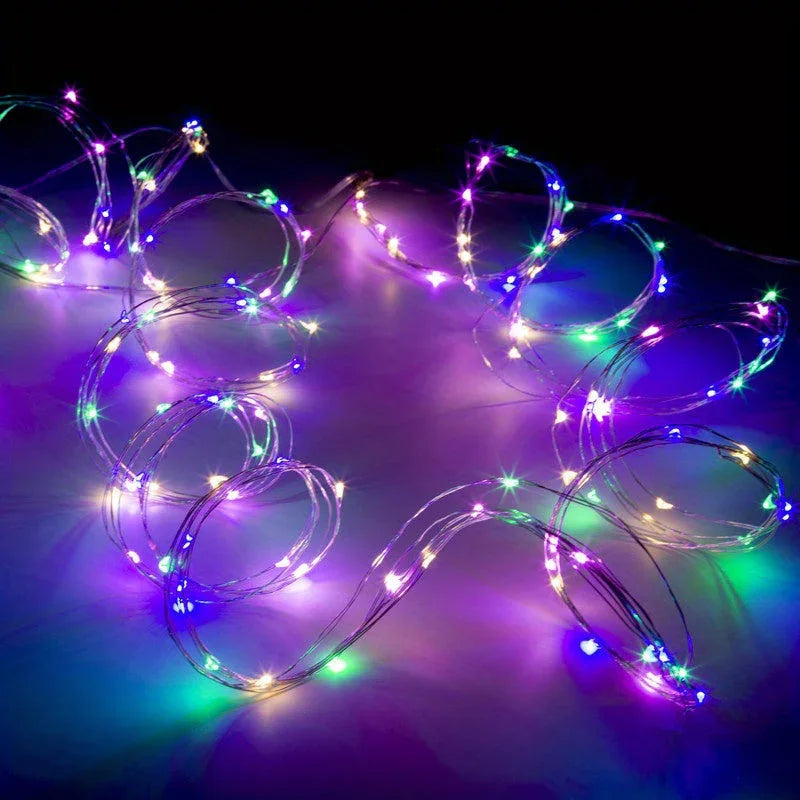String Lights with Battery Power and Warm White Glow