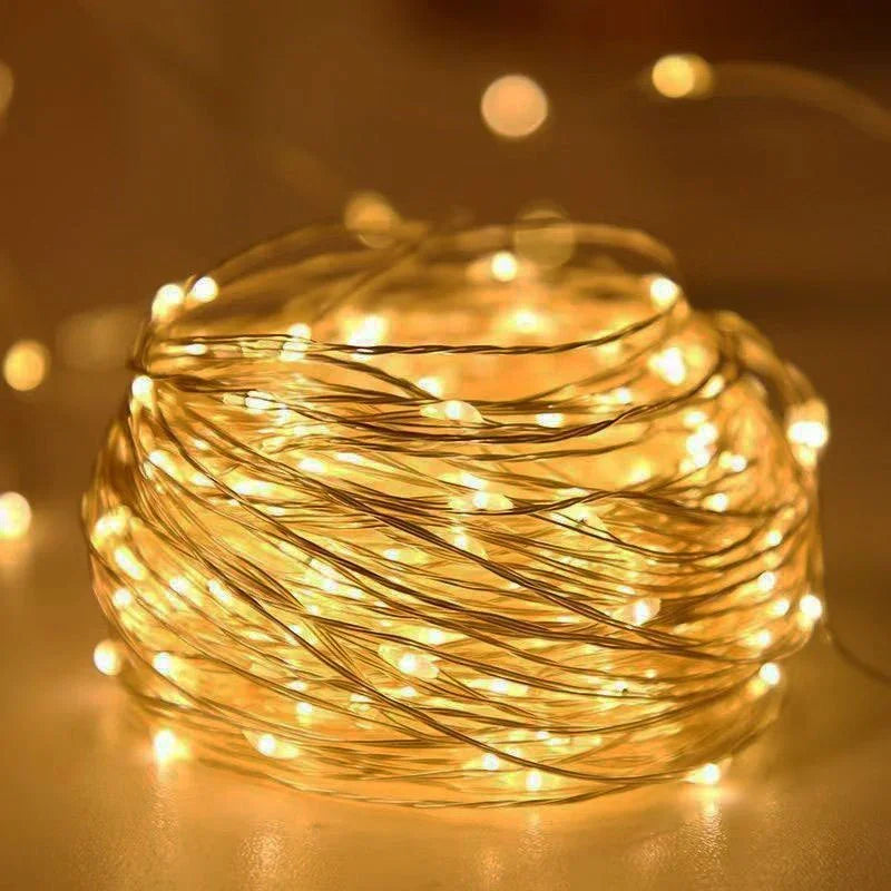 String Lights with Battery Power and Warm White Glow