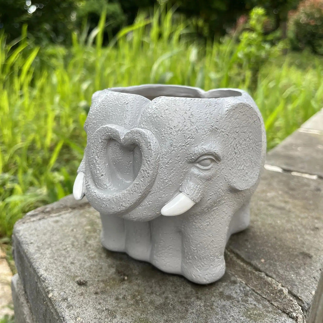 Succulent Pot with Cartoon Design and Home Decor