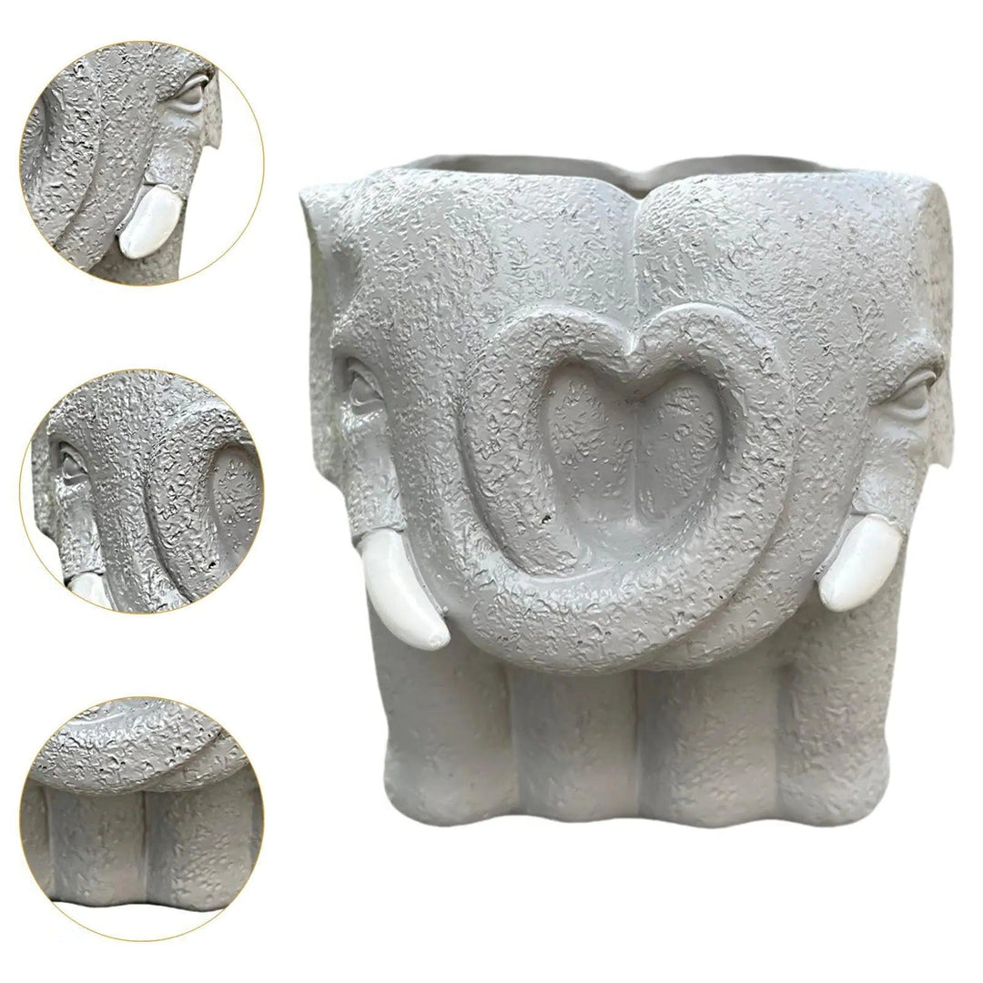 Succulent Pot with Cartoon Design and Home Decor