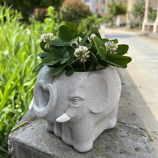 Succulent Pot with Cartoon Design and Home Decor