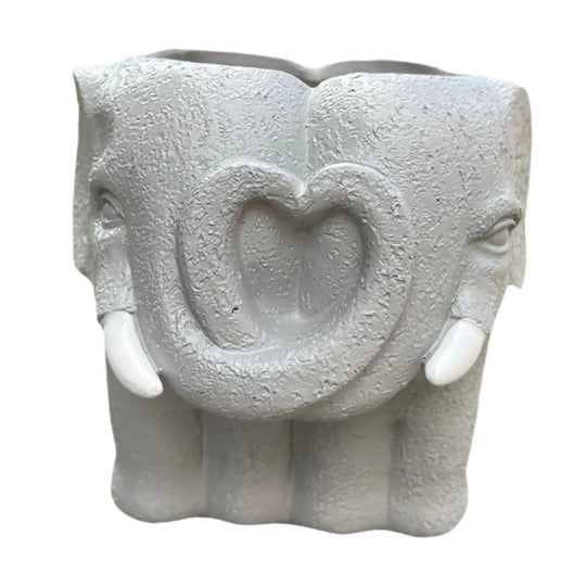 Succulent Pot with Cartoon Design and Home Decor