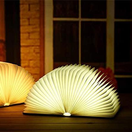 Table Lamp with LED Lighting and Foldable Design