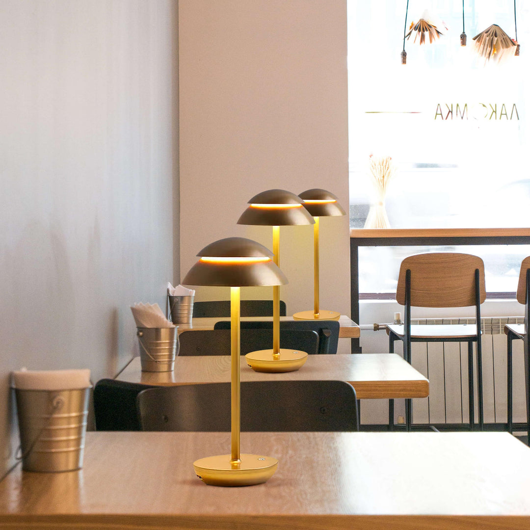 Table Lamp with Touch Control and LED Lighting