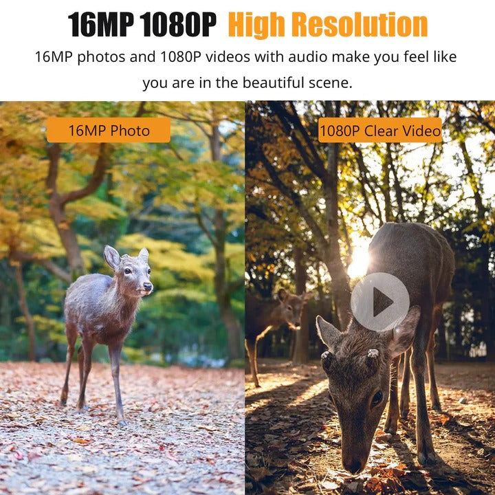 Trail Camera with 1080P Resolution and Night Vision