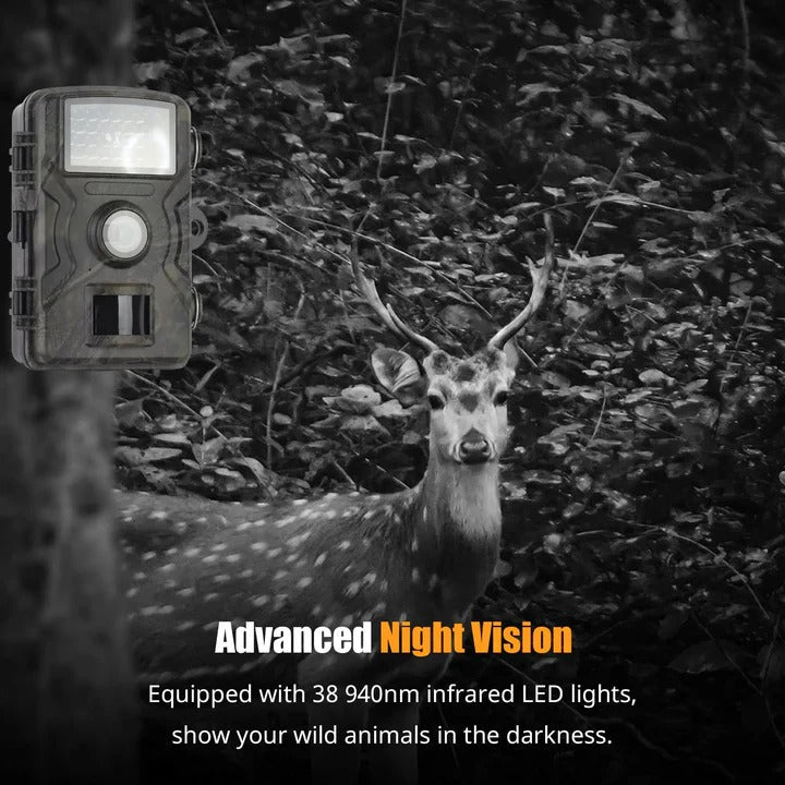 Trail Camera with 1080P Resolution and Night Vision