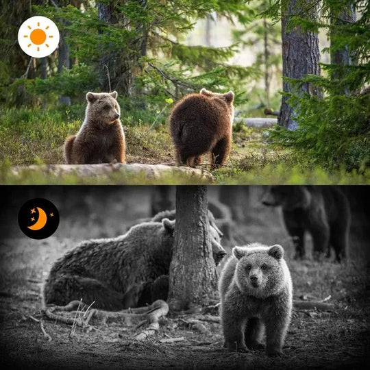 Trail Camera with Motion Sensor and Night Vision