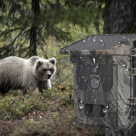 Trail Camera with Solar Power and Night Vision