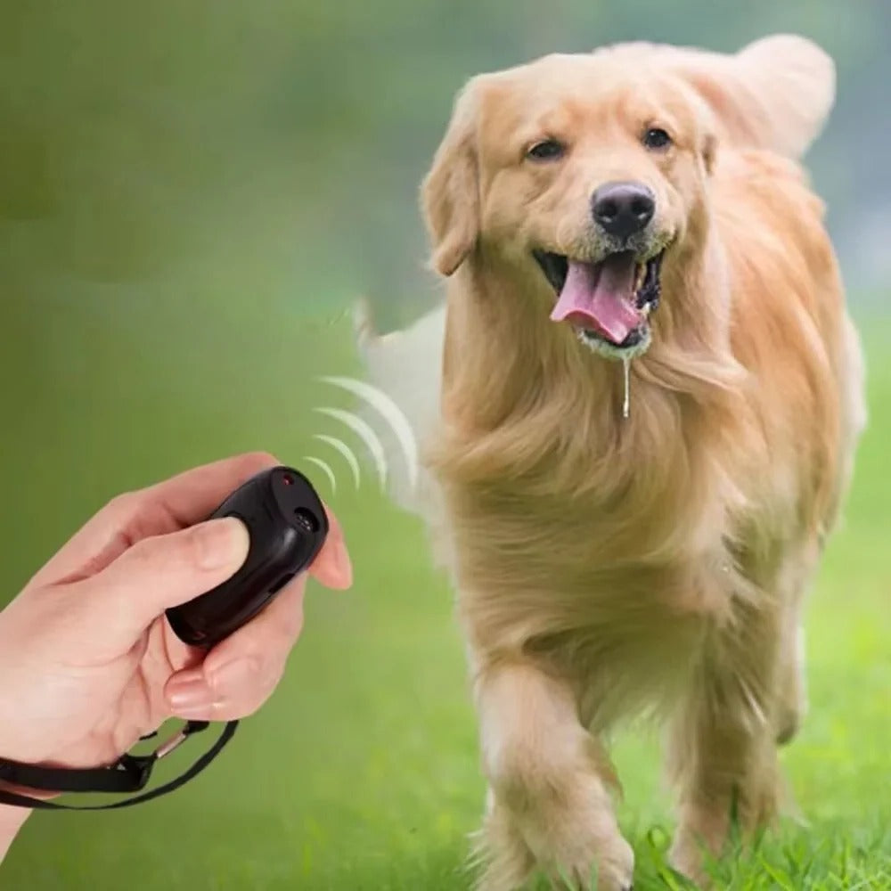 Ultrasonic Skin Care Device with LED Light and Handheld Design